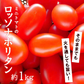 【8月初旬から発送】ミニトマト ロッソナポリタン 1kg イタリアントマト フルーツトマト 高糖度トマト とまと 山形県産
