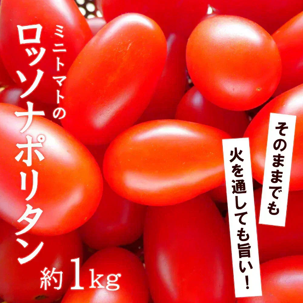 【8月初旬から発送】ミニトマト ロッソナポリタン 1kg イタリアントマト フルーツトマト 高糖度トマト とまと 山形県産