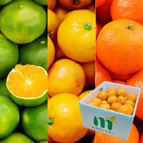 [みさわのやさい] 11月初旬以降より予約販売  有田みかん 3kg 訳あり みかん < 老舗八百屋が厳選した > 和歌山県産 ご家庭用 不揃い 蜜柑