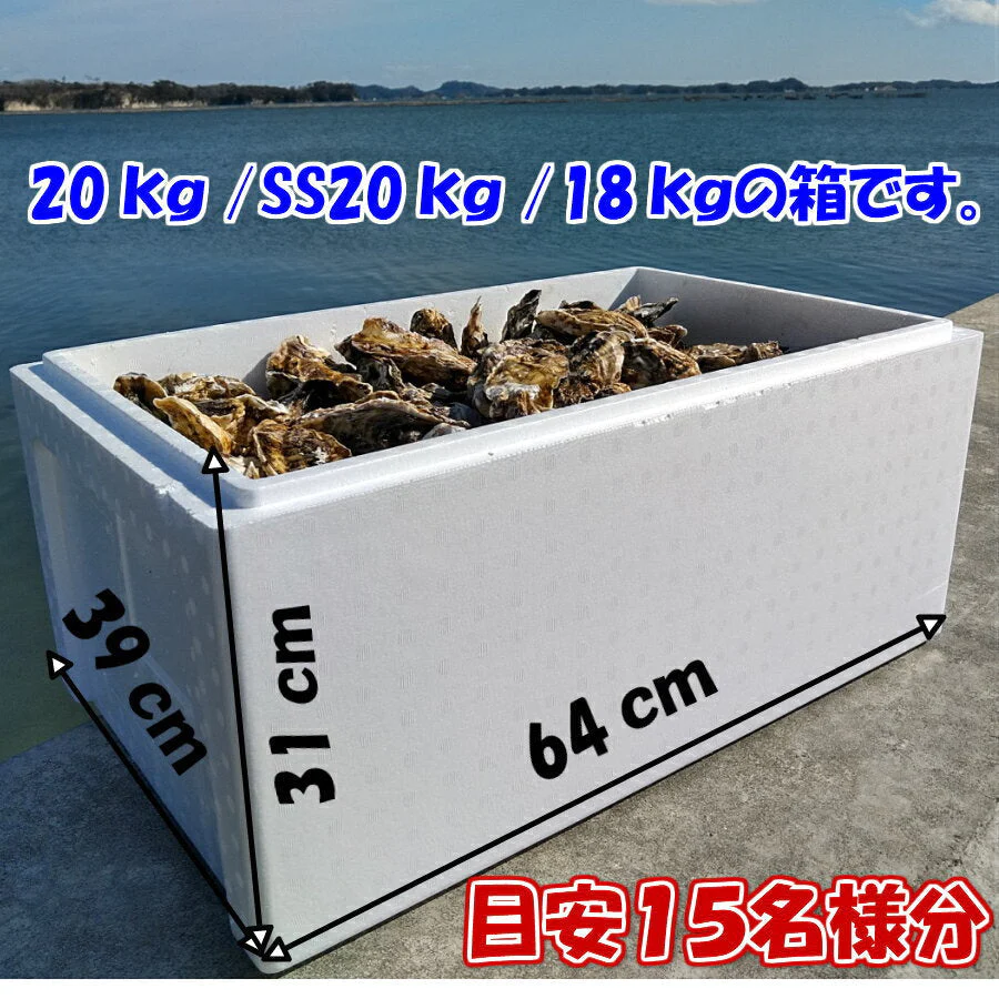 「牡蠣 ２０ｋｇ」 【約240粒】 殻付き 牡蠣 殻付き 牡蛎 牡蠣 殻付 宮城県産 無選別牡蠣 20キロ カキ 加熱用 松島牡蠣屋 海産物 魚介類 魚介 海鮮 母の日 父の日 送料無料 ＢＢＱ バーベキュー 【140】