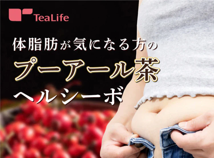 体脂肪が気になる方のプーアール茶　ヘルシーボ　30個入（ 4ｇティーバッグ ×30個入 約60～90杯分 機能性表示食品 健康茶 お茶 ローズヒップエキス ）