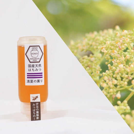 国産 天然ハチミツ 清夏の薫りチューブタイプ500g はちみつ 蜂蜜 ギフト 国産蜂蜜