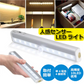 【2個セット】高輝度10LED人感センサーライト