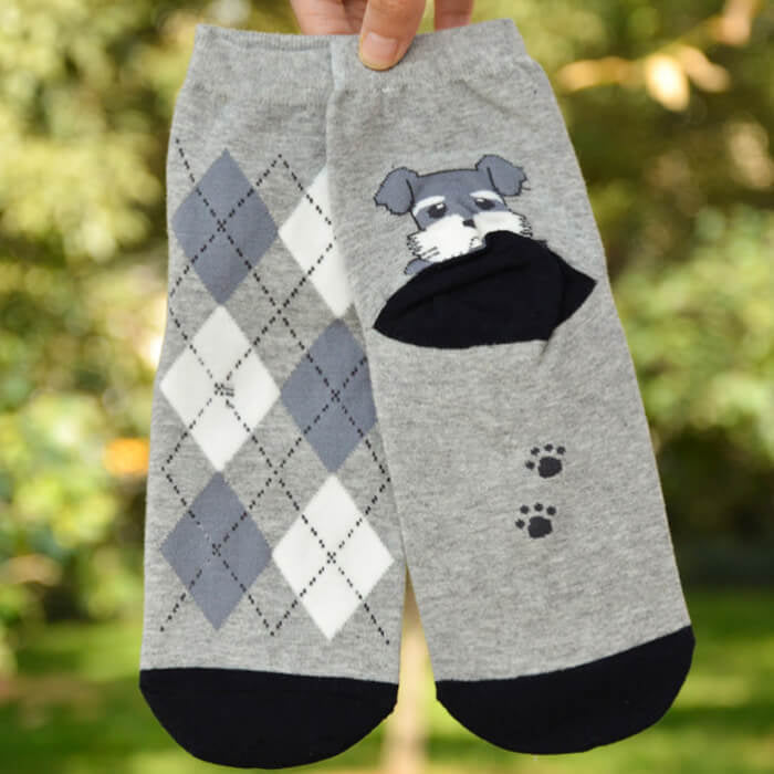 【予約商品・発送時期は商品説明に記載】犬 靴下 6足セット 犬柄 イヌソックス かわいい ボーダー ショートソックス いぬ 靴下 くつ下 ソックス カジュアル 人気 アーガイル 肉球 ランキング 春 夏 秋 冬 女性 レディース 子供 送料無料 ギフト プレゼント