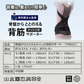 骨盤からととのえるメッシュの背筋サポーター(Sサイズ)/背筋を伸ばして骨盤を引き締める 理学療法士監修 背筋 骨盤 肩甲骨 姿勢 猫背 S字ライン姿勢矯正ベルト 男女兼用 美矯正サポーター 骨盤 腰 ダイエット 体幹 姿勢 シェイプアップ ヒップアップ 代謝アップ ウエスト くびれ 下半身 下腹背筋 引き締める 背筋  肩甲骨 姿勢 猫背 S字ライン