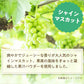 <97676>アレンジルイボスティー　シャインマスカット　カップ用３０個入（グリーンルイボスティー ティーバッグ ノンカフェイン ハーブティー）