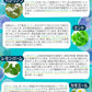 【大容量★約6ヶ月分】healthylife アンミント サプリ サプリメント 寝活サプリ 安らぎ リラックス グリシン 休息サプリ BCAA クロレラ クワンソウ ホップ バレリアン ミントミント レモンバーム 大人気ハーブ 安らぎサポートで良質な夜を 寝付けない方にオススメ おすすめ 人気 ランキング 効果 強力 最強 通販 日本製 国産 健康サプリ 健康食品