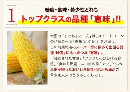 【売り切れ必至】とうもろこし すごあまこーん 7本入 (3L~L サイズ) 卯野農場 セット購入でおまけ付き 朝採り 生で食べられる 約1.8kg～約2.4kg 九州産 高糖度 クール便 送料無料 スイートコーン 《7月上旬～8月上旬頃より発送予定》|