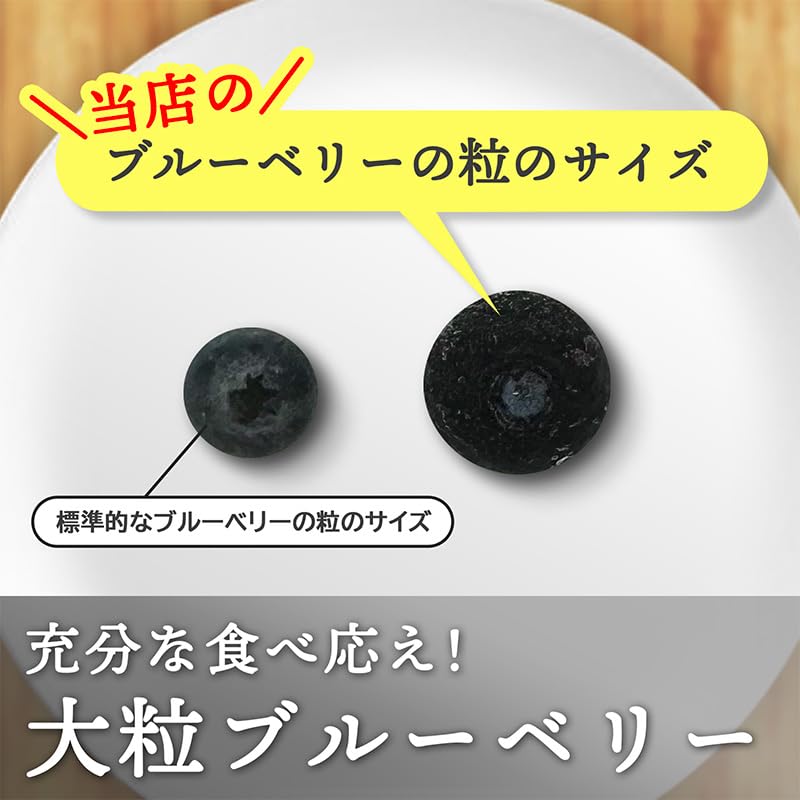 [みさわのやさい] ブルーベリー 冷凍 1kg (500g x 2パック) 大粒 カナダ産 砂糖不使用 そのまま食べられる
