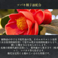 sakuraリペアトリートメント アミノ酸高配合  馬油 はちみつ 桜エキス 10代女性特有の身体からでるいい香り特有ラクトン成分配合 いい匂い 髪のしなやかさふわふわ ふんわり 保湿 東京の美容師が選ぶNo.1  いい香り おしゃれプレゼント 贈り物