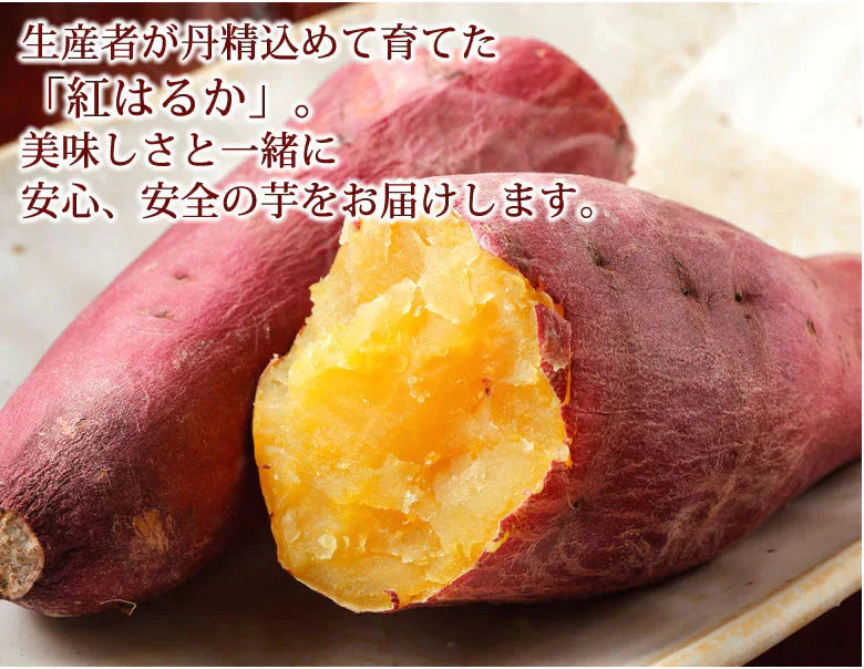 【10月中旬～下旬頃より順次出荷】さつまいも 紅はるか 訳あり 10kg 箱込（内容量9kg＋不良補償分500g) 送料無料 無選別 べにはるか 熊本・宮崎県産 サツマイモ 紅蜜芋 焼き芋 芋 いも