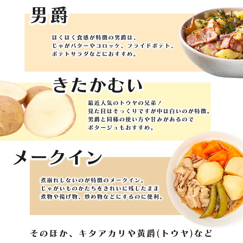 じゃがいも 5kg 訳あり メークイン 男爵　送料無料