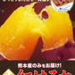 【熊本コレクション】さつまいも 熊本県産 訳あり 紅はるか べにはるか 1.5kg 送料無料 ※大中小サイズ混合(不選別 ) 焼き芋 さつま芋 新鮮 土付き 薩摩芋《11月中旬〜12月中旬頃より発送予定》【エコ得】