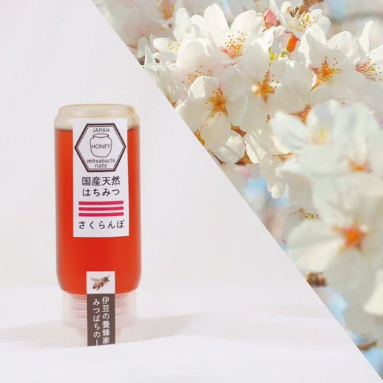 国産 天然ハチミツ さくらんぼ チューブタイプ 500g 非加熱 はちみつ 蜂蜜 国産蜂蜜