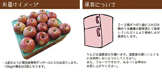 【予約受付中】青森県産 訳あり 葉とらず シナノゴールド 約10kg※11月下旬頃から予約順発送※