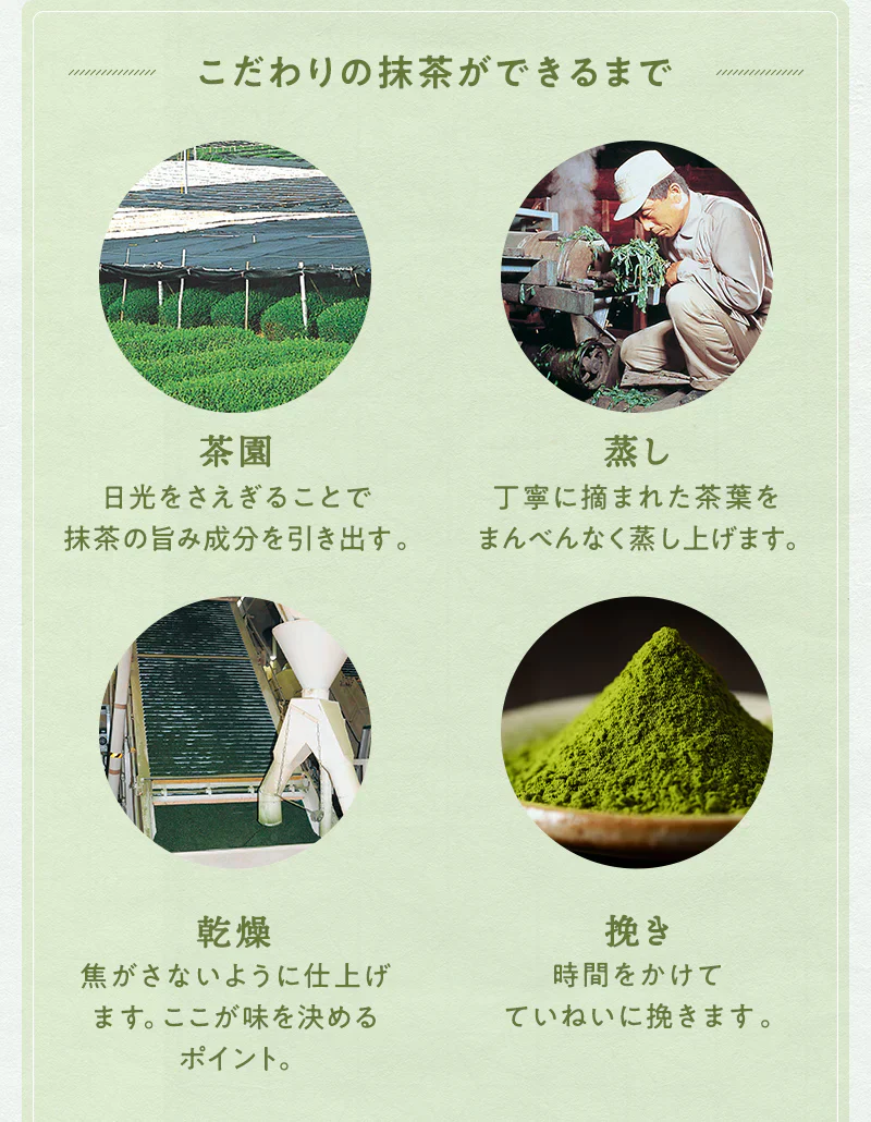 まるごとさんかく茶ポット用　８個入( 冷茶 もおすすめ 玄米茶 抹茶入り玄米茶 ティーバッグ ティーパック 緑茶 抹茶 煎茶 玄米 煎り米 静岡県産 静岡茶 日本茶 丸ごと 三角茶 深蒸し茶 来客用 )【カウシェファーム収穫対象商品】