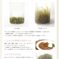 [業務用]こんぶジェンヌ　Konbu jenne 35g×10袋 刻み昆布 業務用　真昆布 羅臼昆布 利尻昆布