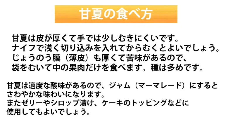 【2月下旬～3月上旬頃より順次出荷】甘夏 みかん 訳あり 10kg 箱込 (内容量9kg+補償500g)  送料無料 サイズ無選別 熊本県産 あまなつ 川野夏橙 蜜柑
