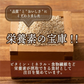 雑穀 雑穀米 国産 もちあわ 1.6kg(400g×4袋)