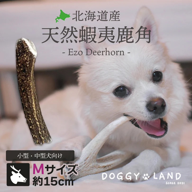 Deerhorn【Mサイズ】 北海道産 鹿角 ペット 犬 おもちゃ 大型犬 プレゼント いたずら防止 おやつ デンタルケア ガム 犬用 鹿の角 天然 無添加 ブルドッグ ボーダーコリー ビーグル フレンチブルドッグ いぬ イヌ