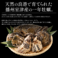 2L、Mサイズが選べる　カキ 牡蠣 かき 生食用 殻付き 1kg　Mサイズ（14～16個）　冷凍 ［送料無料］ 生牡蠣 生食 美味しい 冷凍牡蠣 生ガキ 生食用カキ お取り寄せ 殻付き牡蠣 高鮮度 贈り物 お取り寄せグルメ 贈答用