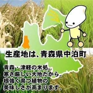 【玄米】無農薬＆化学肥料不使用　特別栽培米 お米 つがるロマン1 0kg