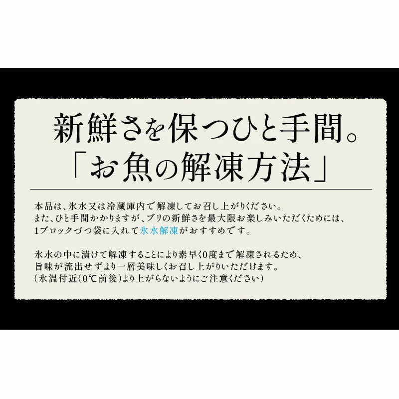 ぶり 刺身 ブリ ロイン 500g 超冷薫 業務用 愛媛県産 鰤 海鮮 お刺身 刺し身 柵 さくさしみ 切り身 お取り寄せ グルメ 寿司 和食 ブリしゃぶ 海鮮 冷凍