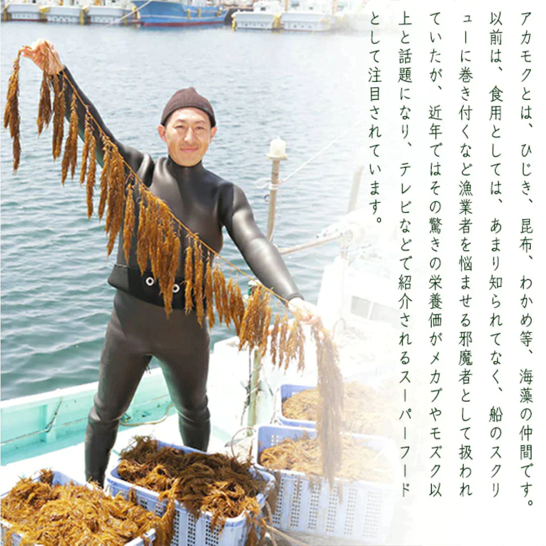 玄界灘産　粘りあかもく180ｇ×3個　合計540ｇ　送料無料（一部除く）　アカモク ぎばさ ギバサ 国産 魚介類 ギフト お取り寄せ まとめ買い 福岡 食物繊維 ミネラル スーパーフード 海産物　パウチ　チューブ　タイプ
