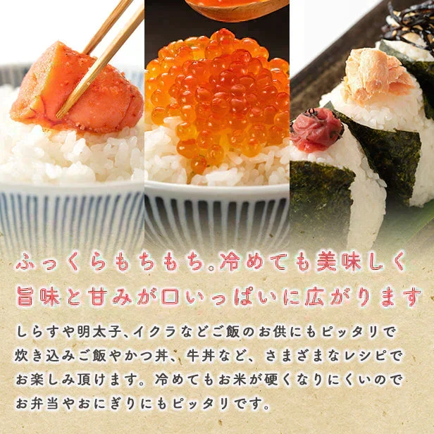 【五分つき10ｋｇ】令和7年産　秋田県産　あきたこまち10ｋｇ 5ｋｇ×2袋　　厳選　送料無料　10ｋｇ　米びつ当番【天鷹唐辛子】プレゼント付き