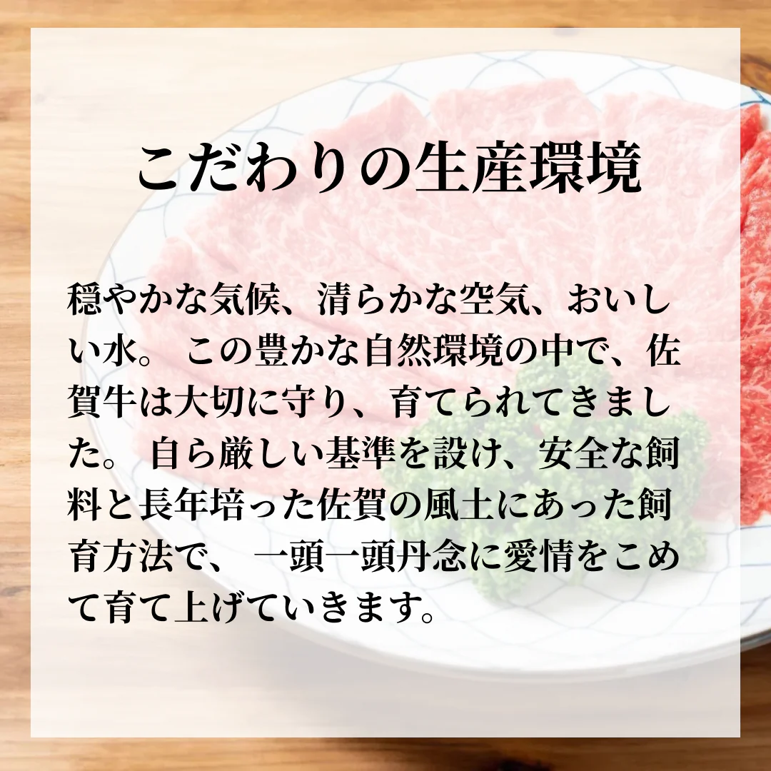 ［約400g］佐賀牛赤身霜降りしゃぶしゃぶすき焼き用（肩・モモ）【ゲリラセール】