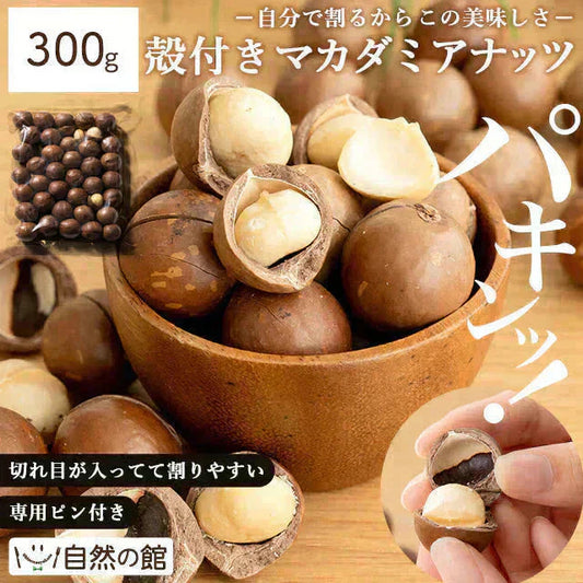殻付きマカダミアナッツ 300g 送料無料