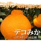 デコポン 同品種 特選デコみかん 送料無料 秀品2kg 希少な加温ハウス栽培 みかん 不知火 お取り寄せ ギフト フルーツ