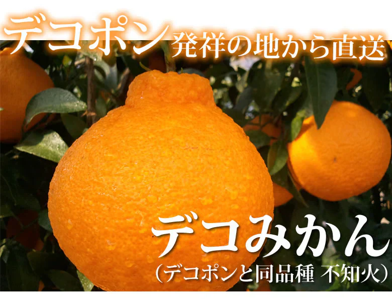 デコポン 同品種 特選デコみかん 送料無料 秀品2kg 希少な加温ハウス栽培 みかん 不知火 お取り寄せ ギフト フルーツ