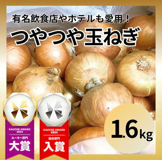 【10営業日以内に発送】有名飲食店やホテルも愛用！ つやつやたまねぎ 約1.6kg（1500-1700gでお届け）玉ねぎ 玉葱 野菜 青果 市場直送【カウシェファーム収穫対象商品】