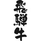 岐阜 飛騨牛ビーフカレー A