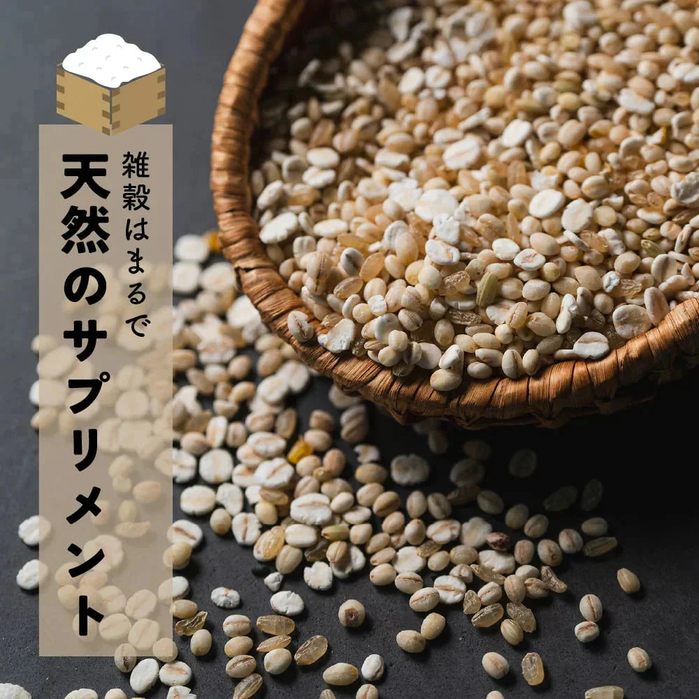 雑穀 雑穀米 国産 健康重視ヘルシーブレンド 8kg(400g×20袋) 無添加 無着色 業務用サイズ 送料無料