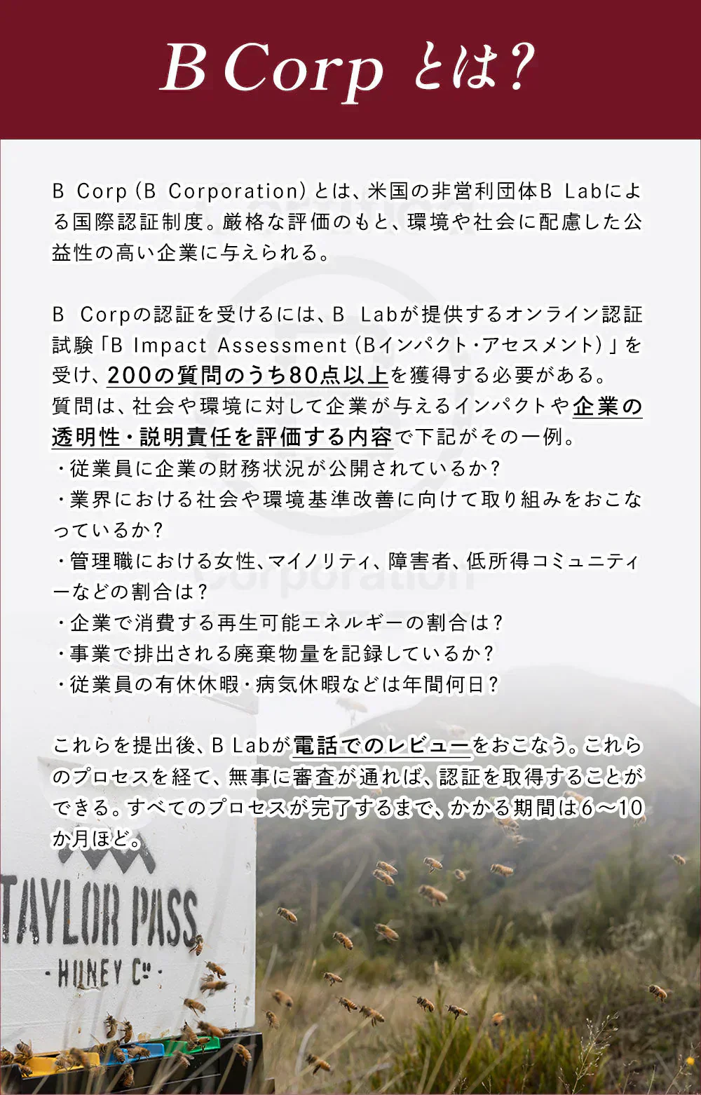 マヌカハニー UMF15+ [500g] MGO512～825 UMF協会認定【Taylor Pass ＆ マリリニュージーランド マヌカハニー】 生 はちみつ 非加熱 無添加 蜂蜜 モノフローラル 【送料無料】