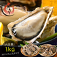 2L、Mサイズが選べる　カキ 牡蠣 かき 生食用 殻付き 1kg　Mサイズ（14～16個）　冷凍 ［送料無料］ 生牡蠣 生食 美味しい 冷凍牡蠣 生ガキ 生食用カキ お取り寄せ 殻付き牡蠣 高鮮度 贈り物 お取り寄せグルメ 贈答用