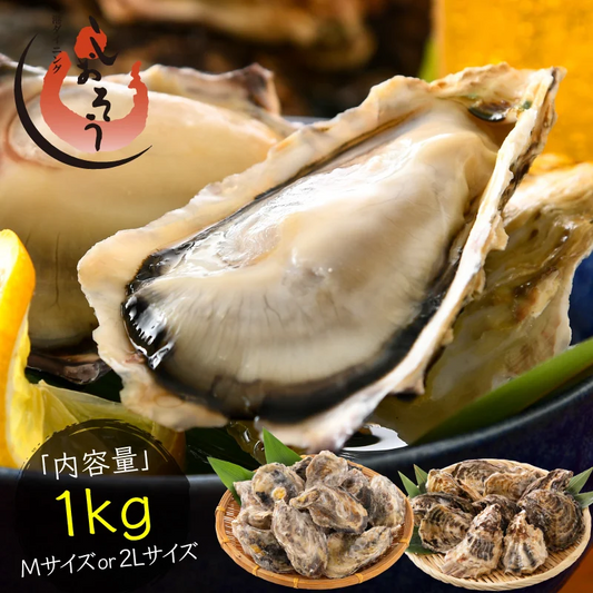 2L、Mサイズが選べる　カキ 牡蠣 かき 生食用 殻付き 1kg　Mサイズ（14～16個）　冷凍 ［送料無料］ 生牡蠣 生食 美味しい 冷凍牡蠣 生ガキ 生食用カキ お取り寄せ 殻付き牡蠣 高鮮度 贈り物 お取り寄せグルメ 贈答用