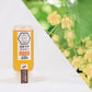 国産 天然ハチミツ 菩提樹 チューブタイプ 500g 非加熱 はちみつ 蜂蜜 ギフト 瓶詰 国産蜂蜜
