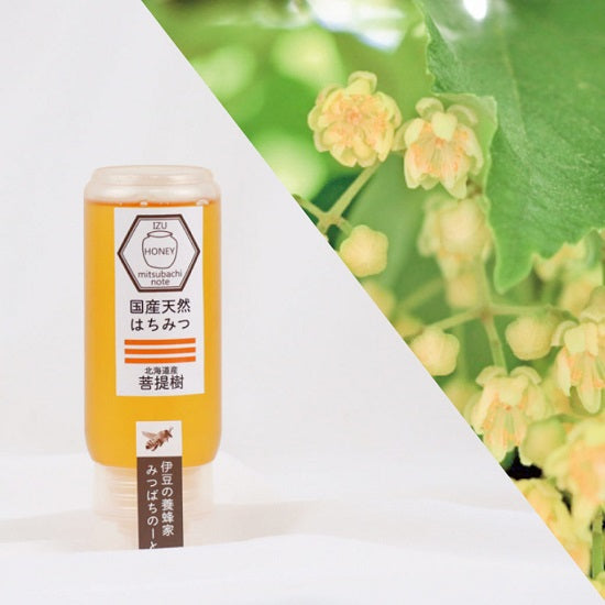 国産 天然ハチミツ 菩提樹 チューブタイプ 500g 非加熱 はちみつ 蜂蜜 ギフト 瓶詰 国産蜂蜜
