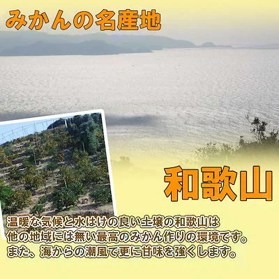 (11月上旬発送予定商品) みかん 2キロ 和歌山県 有田産 有田みかん