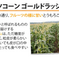 とうもろこし ゴールドラッシュ 送料無料 3.5～4kg 《クール便でお届け》 九州産 味来 極甘フルーツコーン スイートコーン 野菜