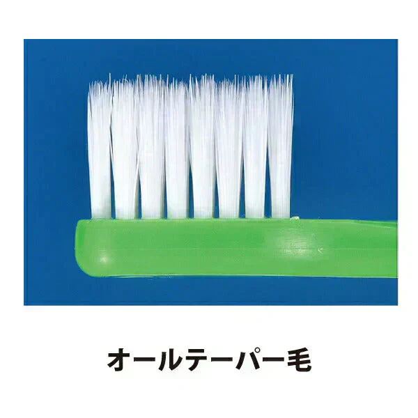歯ブラシ 4列 先細毛 デンタルコロン Mふつう 3本【メール便送料無料】