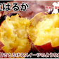 【10月中旬～下旬頃より順次出荷】さつまいも 紅はるか 訳あり 10kg 箱込（内容量9kg＋不良補償分500g) 送料無料 無選別 べにはるか 熊本・宮崎県産 サツマイモ 紅蜜芋 焼き芋 芋 いも