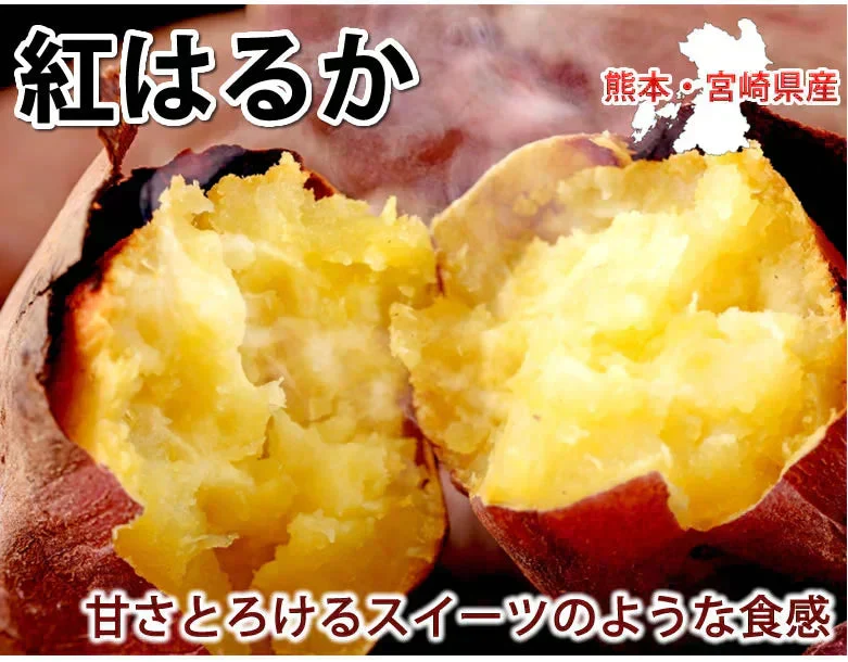 【10月中旬～下旬頃より順次出荷】さつまいも 紅はるか 訳あり 10kg 箱込（内容量9kg＋不良補償分500g) 送料無料 無選別 べにはるか 熊本・宮崎県産 サツマイモ 紅蜜芋 焼き芋 芋 いも