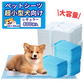 【ペットが良い習慣を身につける】＼レギュラー 800枚 ／ペットシーツ ペットシート 犬 ペットシーツ トイレシート トイレシーツ 猫 シーツ 犬 ペットシート 大容量 まとめ買い 業務用 ケース 犬 猫 トイレ シーツ シート 犬 トイレシーツ 猫 トイレ シート 薄型シーツ オリジナル おしっこシート システムトイレ