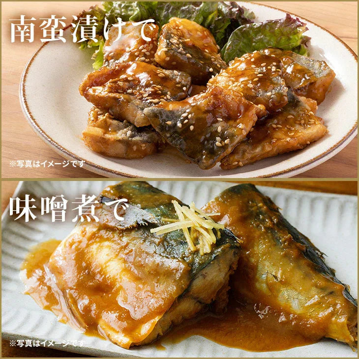 【無塩・無添加】トロサバ“骨取り”切身 大ぶり70g x 15枚=合計1.05kg 小分け350g (70g x 5枚) x 3パック