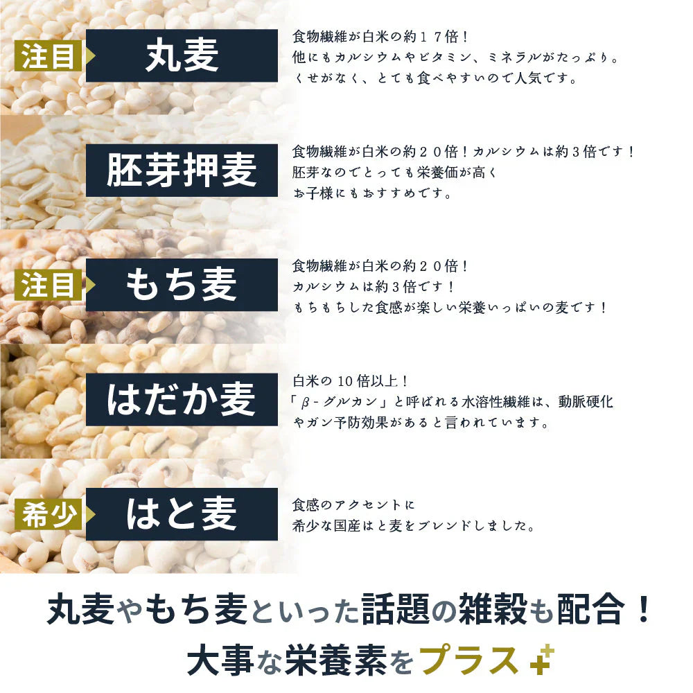 雑穀 雑穀米 国産 麦５種ブレンド 400g お試しサイズ [丸麦/押麦/はだか麦/もち麦/はと麦] 無添加 無着色 送料無料 ポスト投函