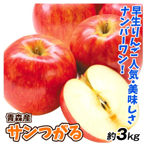 りんご 青森産 サンつがる 約3kg